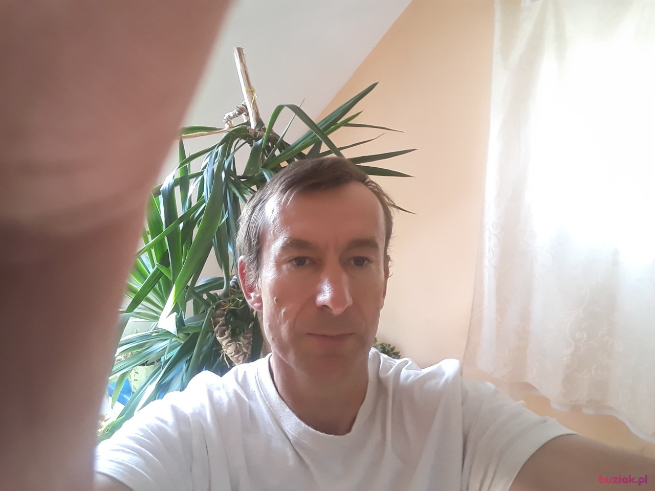 staszek, Mężczyzna, 43, Myślenice, Polska, Zdjęcie: 2