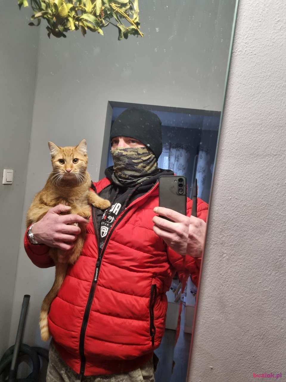 Daniel, Mężczyzna, 41, Frankfurt, Niemcy, Zdjęcie: 2