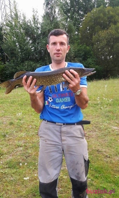 Roman, Male, 48, Hamburg, Niemcy: 1