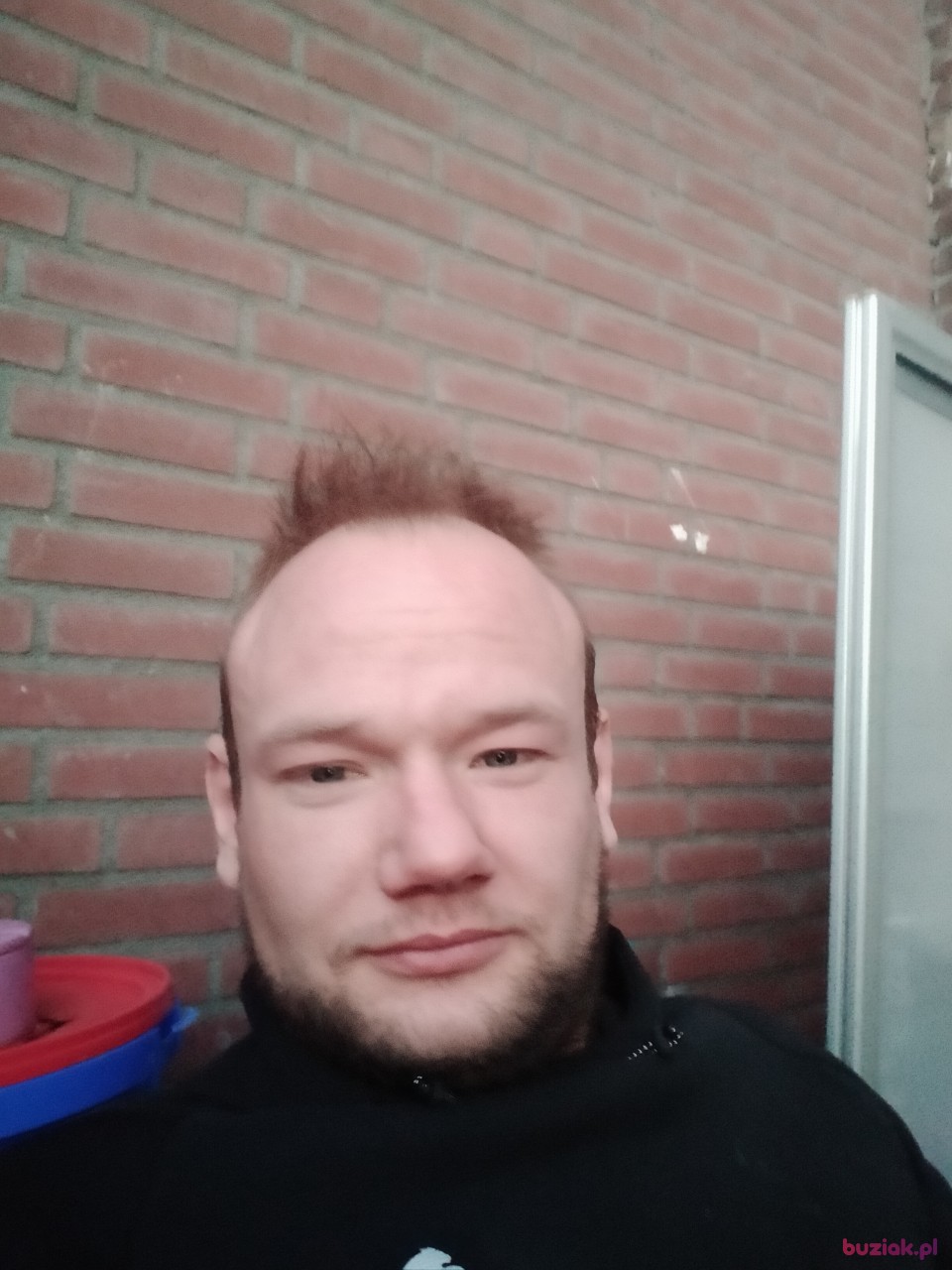 Stefan, Mężczyzna, 34, Arcen Limburg Province, Holandia: 1