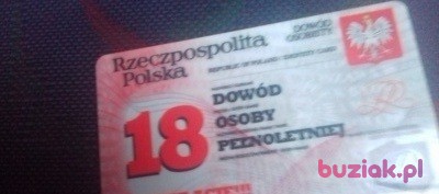Kajetan , Male, 35, Polska, Photo: 5