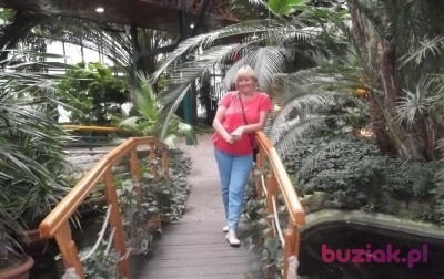 pamela2, Kobieta, 70, Wrocław, Polska, Zdjęcie: 3