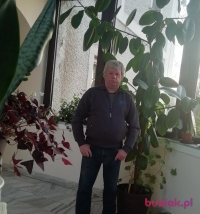 Marek, Mężczyzna, 62, Polanica-Zdrój, Polska: 1