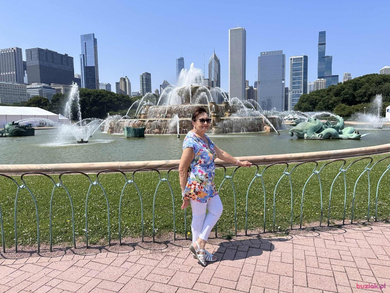 Ewa, Kobieta, 71, Warszawa, Polska, Zdjęcie: 2