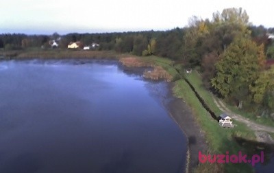 bycio, Mężczyzna, 70, Ryki, Polska, Zdjęcie: 3