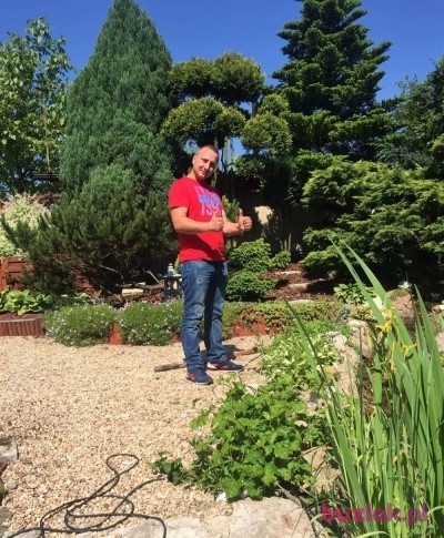 Ikar, Male, 36, Katowice, Polska, Photo: 1
