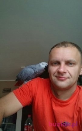 cinas6, Mężczyzna, 41, Warszawa, Polska: 1