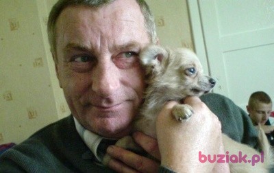 rychu, Mężczyzna, 72, Wrocław, Polska, Zdjęcie: 1