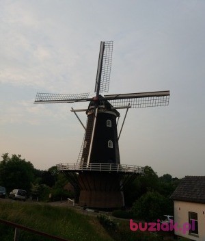 Wspomnienie81, Male, 44, Holandia, Photo: 2