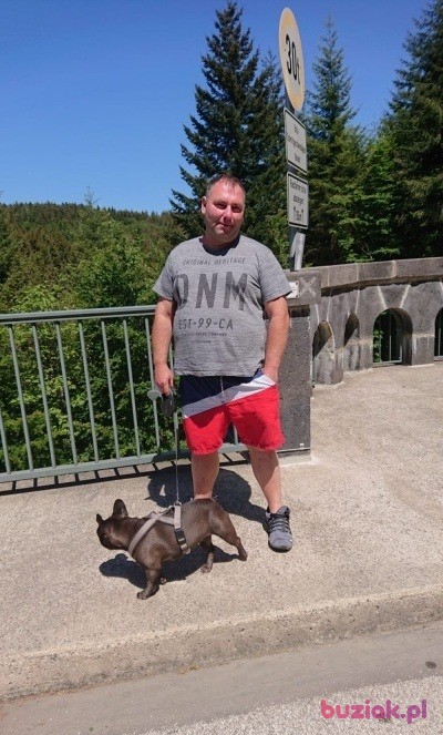 michal, Mężczyzna, 43, Mikołów, Polska, Zdjęcie: 2