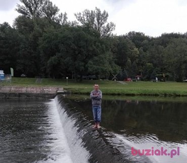 marcin, Mężczyzna, 36, Bytom, Polska, Zdjęcie: 2