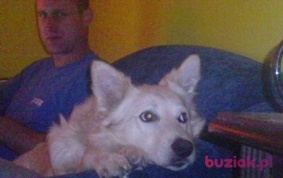 krzys, Mężczyzna, 50, Polska, Zdjęcie: 3