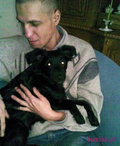 Mirosław, Male, 58, Katowice, Polska: 1