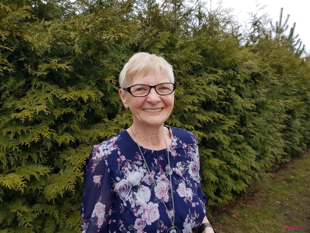 Grazyna, Kobieta, 72, Hamburg, Niemcy, Zdjęcie: 1
