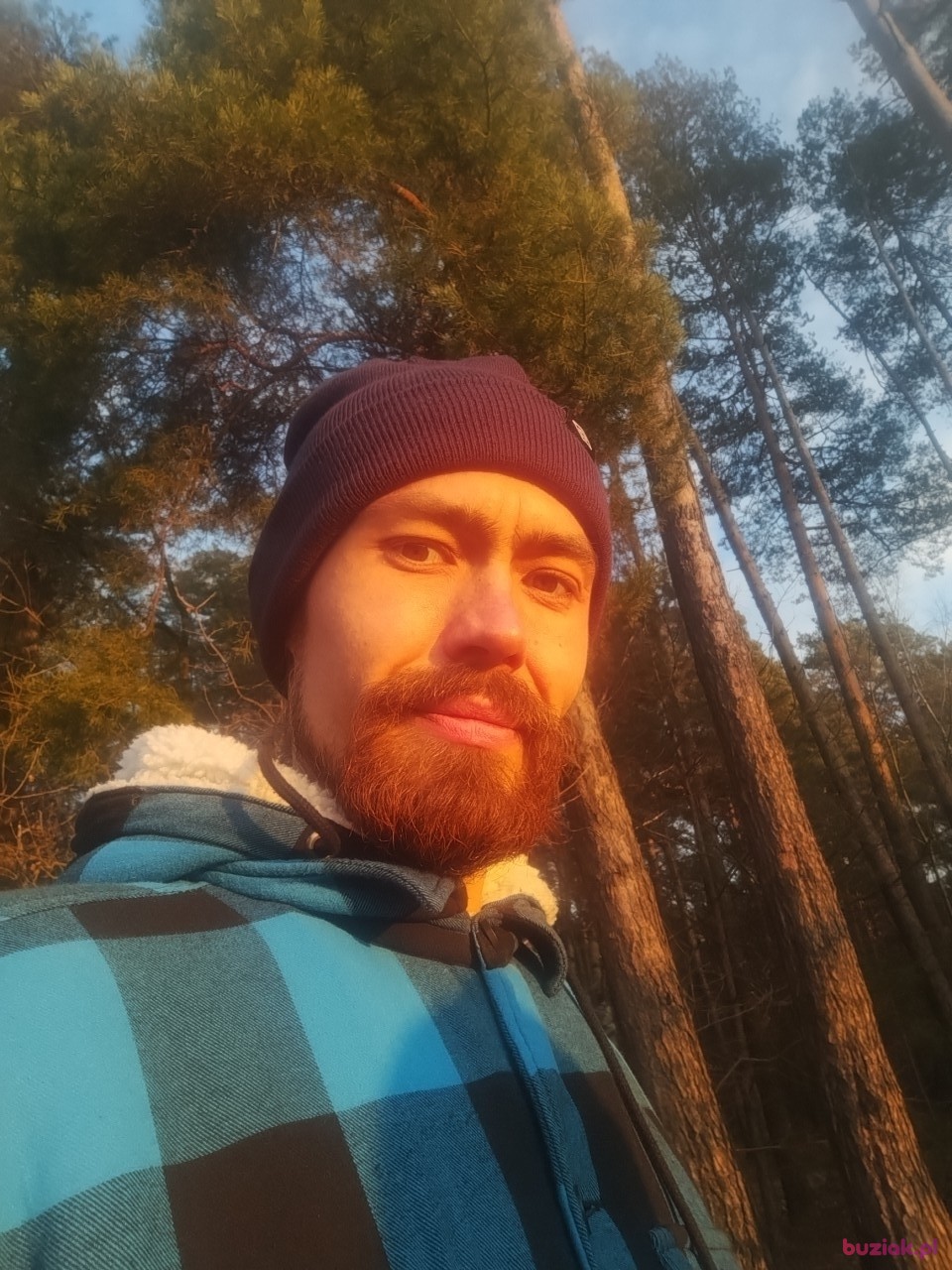 Wito, Male, 36, Cieszyn, Polska: 1