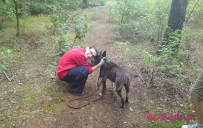 błażej, Male, 40, Łódź, Polska, Photo: 1