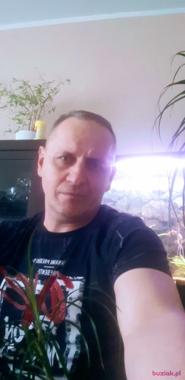 Kamil, Mężczyzna, 54, Częstochowa, Polska, Zdjęcie: 3