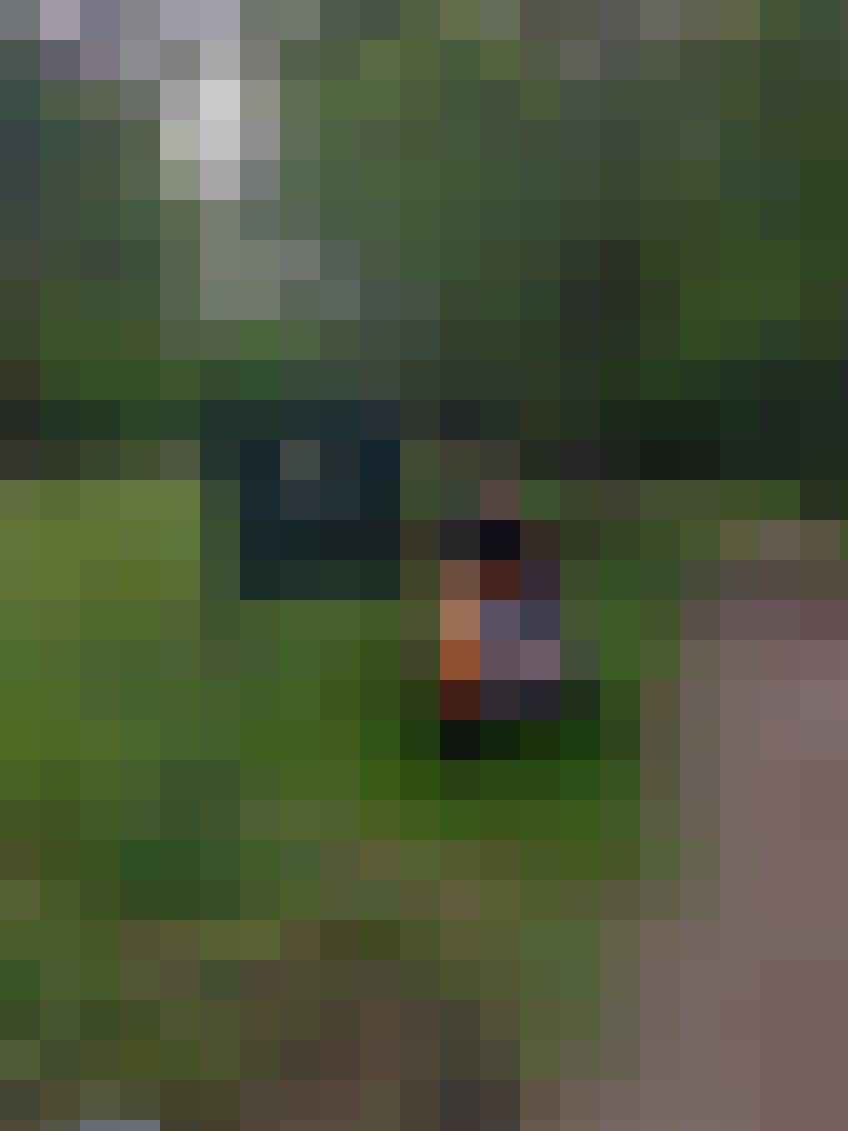 Roman, Male, 76, Sulejówek, Polska, Photo: 5