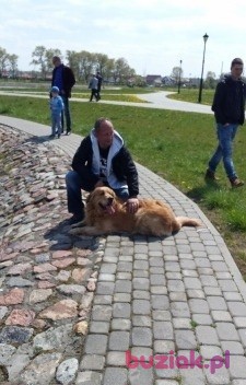 Maciej, Mężczyzna, 50, Warszawa, Polska: 1