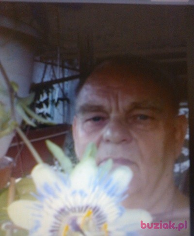 Antoni, Mężczyzna, 77, Radzymin, Polska, Zdjęcie: 1