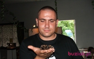 Darek, Mężczyzna, 49, Wrocław, Polska: 1