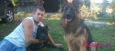 eryk77, Male, 47, Olkusz, Polska: 1