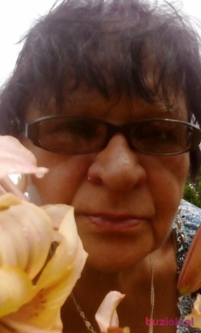 jacelina, Kobieta, 77, Piła, Polska, Zdjęcie: 1