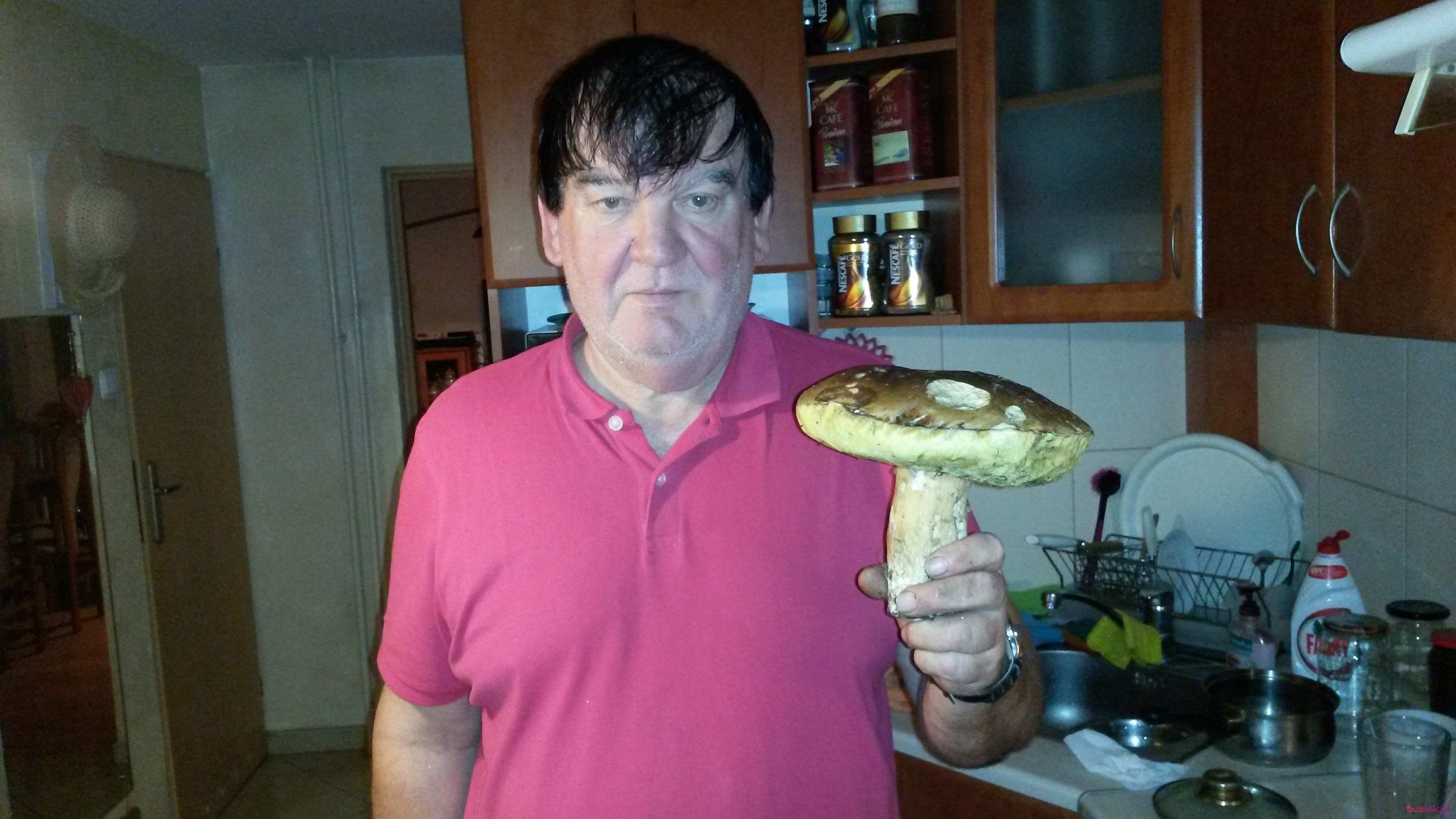 Jerzy, Male, 70, Częstochowa, Polska: 1
