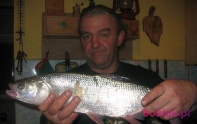 bonifacy, Male, 65, Kraków, Polska, Photo: 3