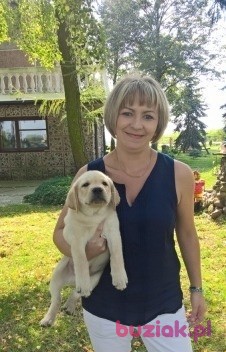 Magdalena, Female, 40, Sokołów Podlaski, Polska: 1