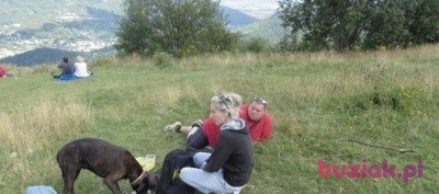 Łukasz, Mężczyzna, 43, Gliwice, Polska: 1