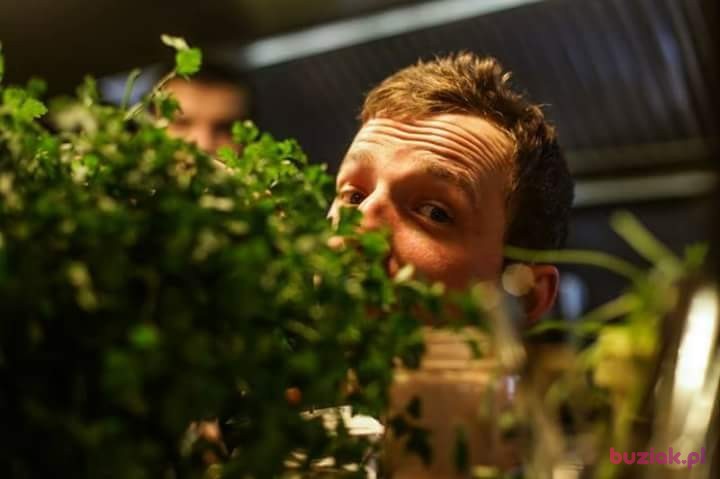 Piotr, Mężczyzna, 38, Dresden, Niemcy: 1