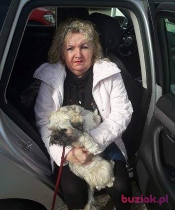 Dorota, Kobieta, 57, Kielce, Polska, Zdjęcie: 4