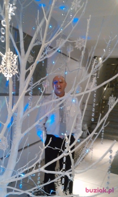 Robert, Mężczyzna, 59, Dąbrowa Górnicza, Polska, Zdjęcie: 1