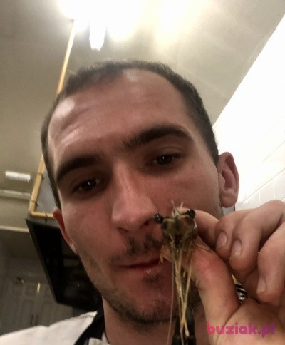 Dominik, Mężczyzna, 30, Hambleton, Wielka Brytania, Zdjęcie: 1