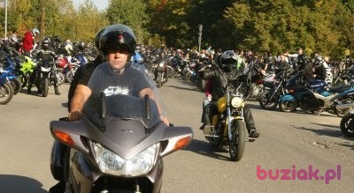 janusz1972, Male, 52, Piotrków Trybunalski, Polska: 1