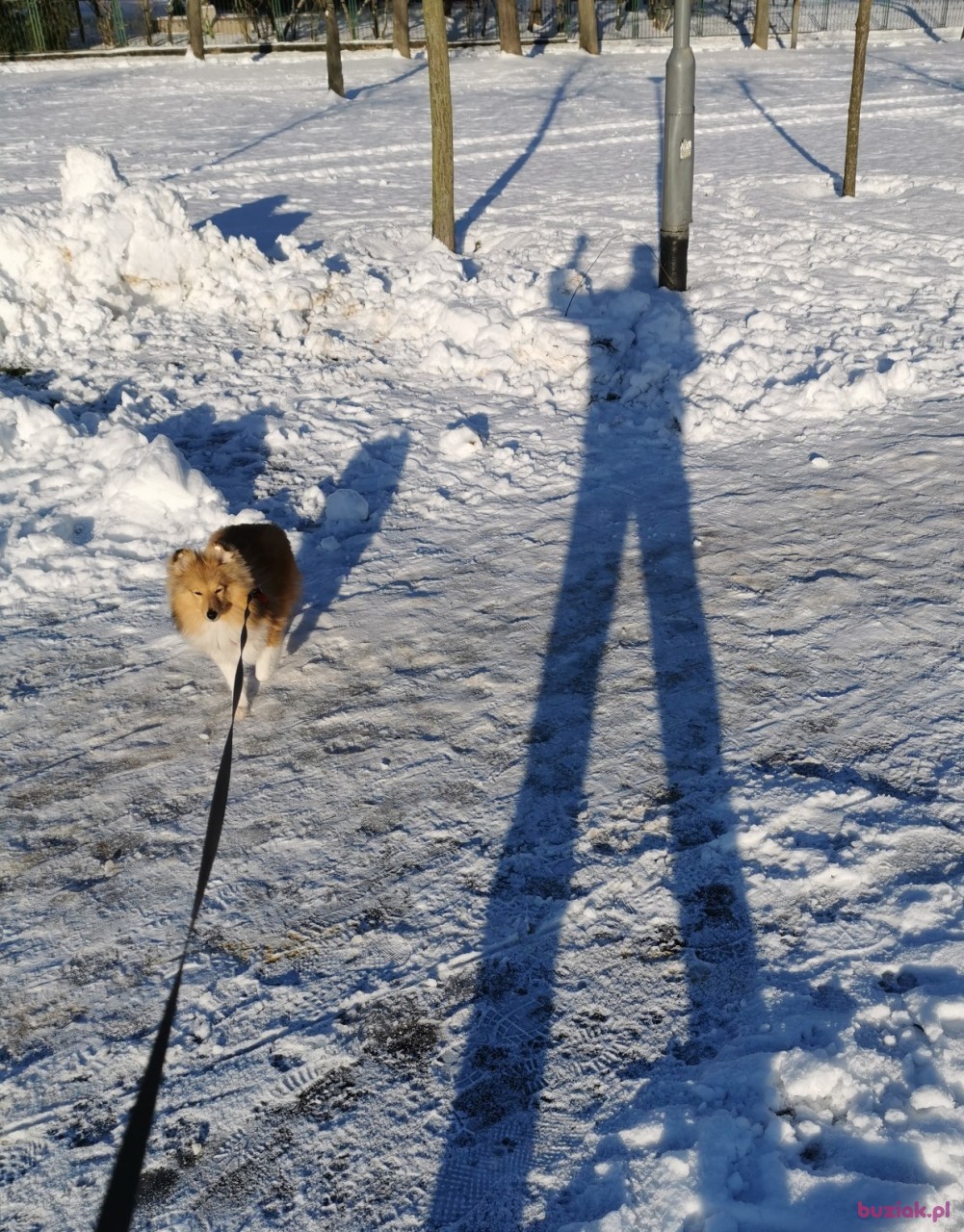 Tomek, Mężczyzna, 52, Poznań, Polska, Zdjęcie: 17