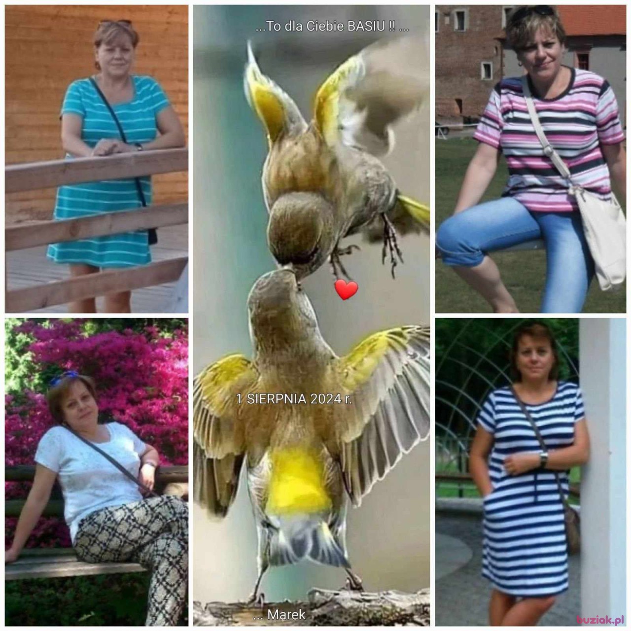 Barbara, Kobieta, 59, Łódź, Polska, Zdjęcie: 3