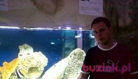 swiezy12390, Male, 35, Kutno, Polska: 1