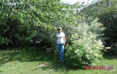 Iwona, Female, 67, Zgierz, Polska, Photo: 4