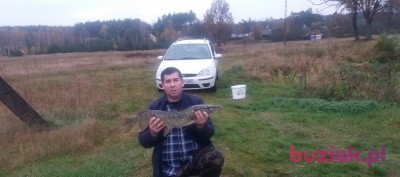 Janusz, Male, 39, Częstochowa, Polska: 1