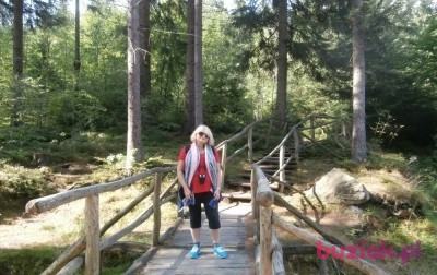 elly65, Kobieta, 60, Warszawa, Polska, Zdjęcie: 2