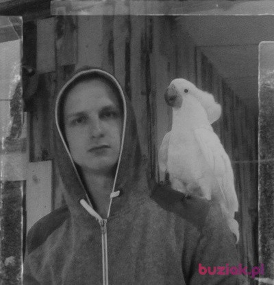 Kamil, Mężczyzna, 29, Szczecin, Polska, Zdjęcie: 2