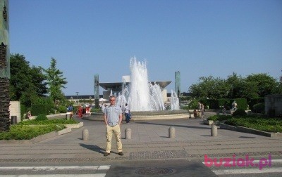 Robert, Mężczyzna, 51, Aberdeen, Wielka Brytania, Zdjęcie: 3