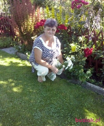 Wanda, Female, 73, Lublin, Polska, Photo: 3