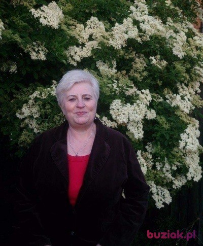Malgorzata, Female, 66, Góra, Polska, Photo: 2