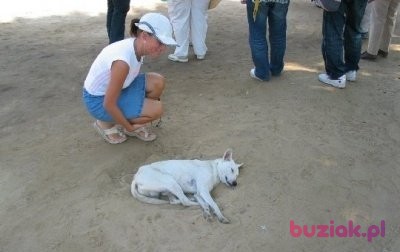 malaksiezniczka, Female, 42, Kraków, Polska, Photo: 3