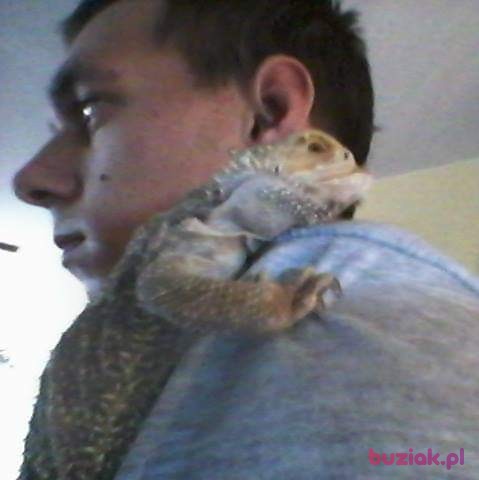 Kamil, Male, 33, Breda, Holandia, Photo: 3