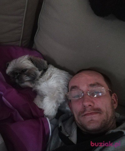 Przemek, Mężczyzna, 43, Lisse South Holland Province, Holandia, Zdjęcie: 2
