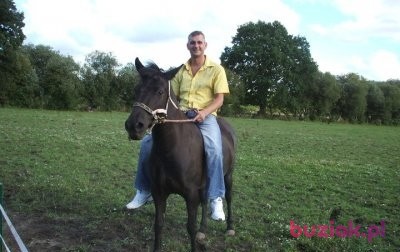 Tomasz, Mężczyzna, 49, Poznań, Polska, Zdjęcie: 1